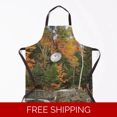 Le Studio Apron Satellite Dish Fall 2019